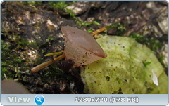 0_f27ee_dea05941_orig.png