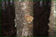 0_c7191_ce90314d_orig.jpg