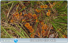0_f4fd5_19d8e58c_orig.png