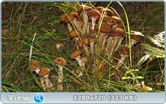 0_ef3bc_80e95a3e_orig.png