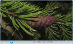 0_e377e_9ee530d7_orig.png