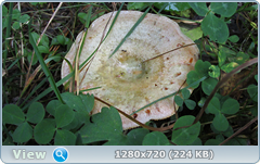 0_fba24_c98bbb5_orig.png