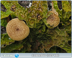 0_fc432_b79ede96_orig.png
