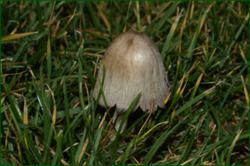 0_ddf8f_b9a6248b_orig.png