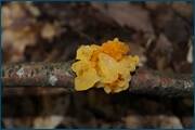 0_d244a_b510378_orig.jpg