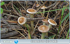 0_e94b2_bc94701a_orig.png