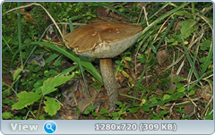 0_ef36b_fe226a50_orig.png
