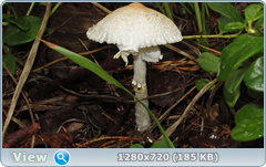 0_ead44_17d7b448_orig.png
