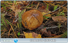 0_f2736_7782a81a_orig.png
