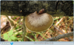 0_e3764_996bf694_orig.png
