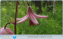 0_e7851_611d2ad6_orig.png