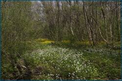 0_ccb92_30d7b073_orig.jpg