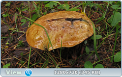 0_e6a1a_6b654855_orig.png