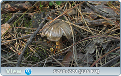 0_e6a20_74178ae6_orig.png