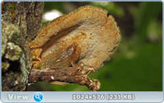 0_e7831_5d3033e4_orig.png