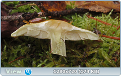 0_f4ff3_2629321_orig.png