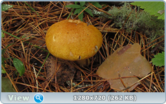 0_eaaef_27d43556_orig.png