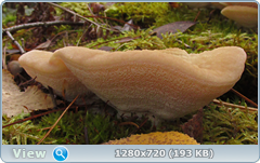 0_f2820_55e55a8d_orig.png