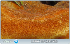 0_e992a_ea1efbf_orig.png