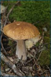 0_d09b0_db12852d_orig.jpg