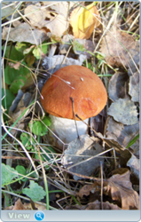 0_f4742_b6fb8c51_orig.png