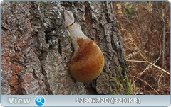 0_fc592_8e1af244_orig.png