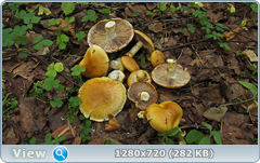 0_ef353_450a64f5_orig.png