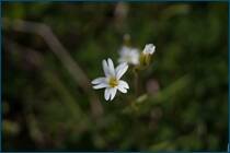 0_cc940_1200a241_orig.jpg