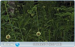0_e7857_6064939a_orig.png