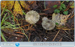 0_f3055_a314a869_orig.png