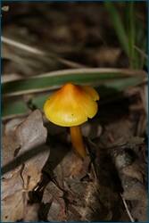 0_d0ca9_52d2c801_orig.jpg
