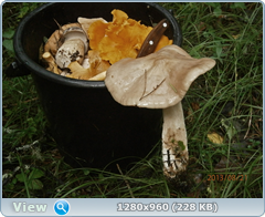 0_fb165_9ee809f6_orig.png