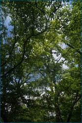 0_ce0e7_7c2b6964_orig.jpg
