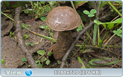 0_fb7e9_7392471_orig.png