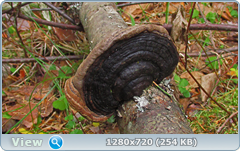 0_f4d58_26edb81d_orig.png