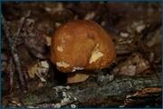 0_d2a04_497b2684_orig.jpg