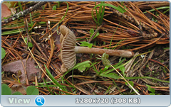 0_fbe71_5e53ed46_orig.png