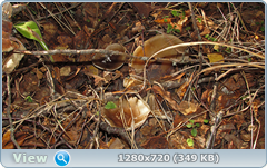 0_f386a_1260b786_orig.png