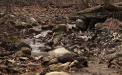0_f1626_50678ea_orig.gif