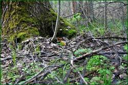 0_141c2d_26a1c33a_orig.jpg