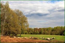 0_141c65_ff15e21e_orig.jpg