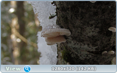 0_115839_199acc67_orig.png