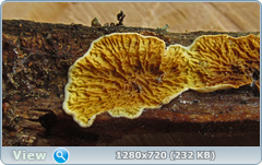0_116327_3186d50c_orig.png