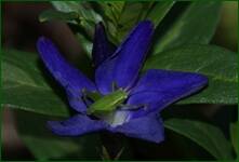0_f6223_95c35c80_orig.jpg