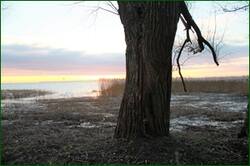 0_134f03_7166e08_orig.jpg
