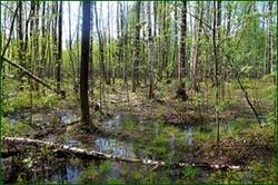 0_141c29_4740967f_orig.jpg