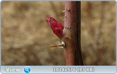 0_1242d2_b4bab122_orig.png
