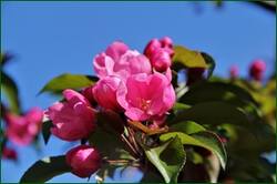 0_142345_47b49e8b_orig.jpg