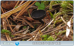 0_11e4da_3d200f29_orig.png