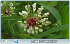 0_e7855_c576a919_orig.png